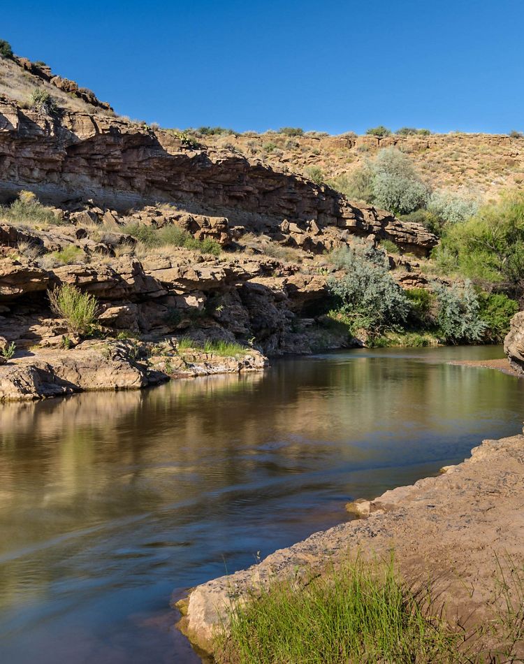 Bend in the Virgin River on the Sheep Bridge parcel.