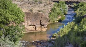 Looking down into a canyon carved by the Virgin River.