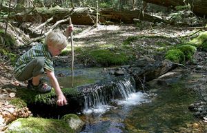 A young boy holding a stick reaches into a stream.