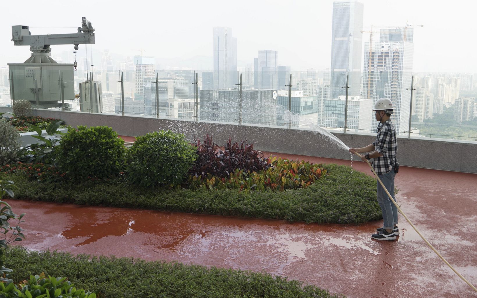 An employee waters the rooftop garden on the rooftop garden on the Tencent Binhai towers in Shenzhen, China.