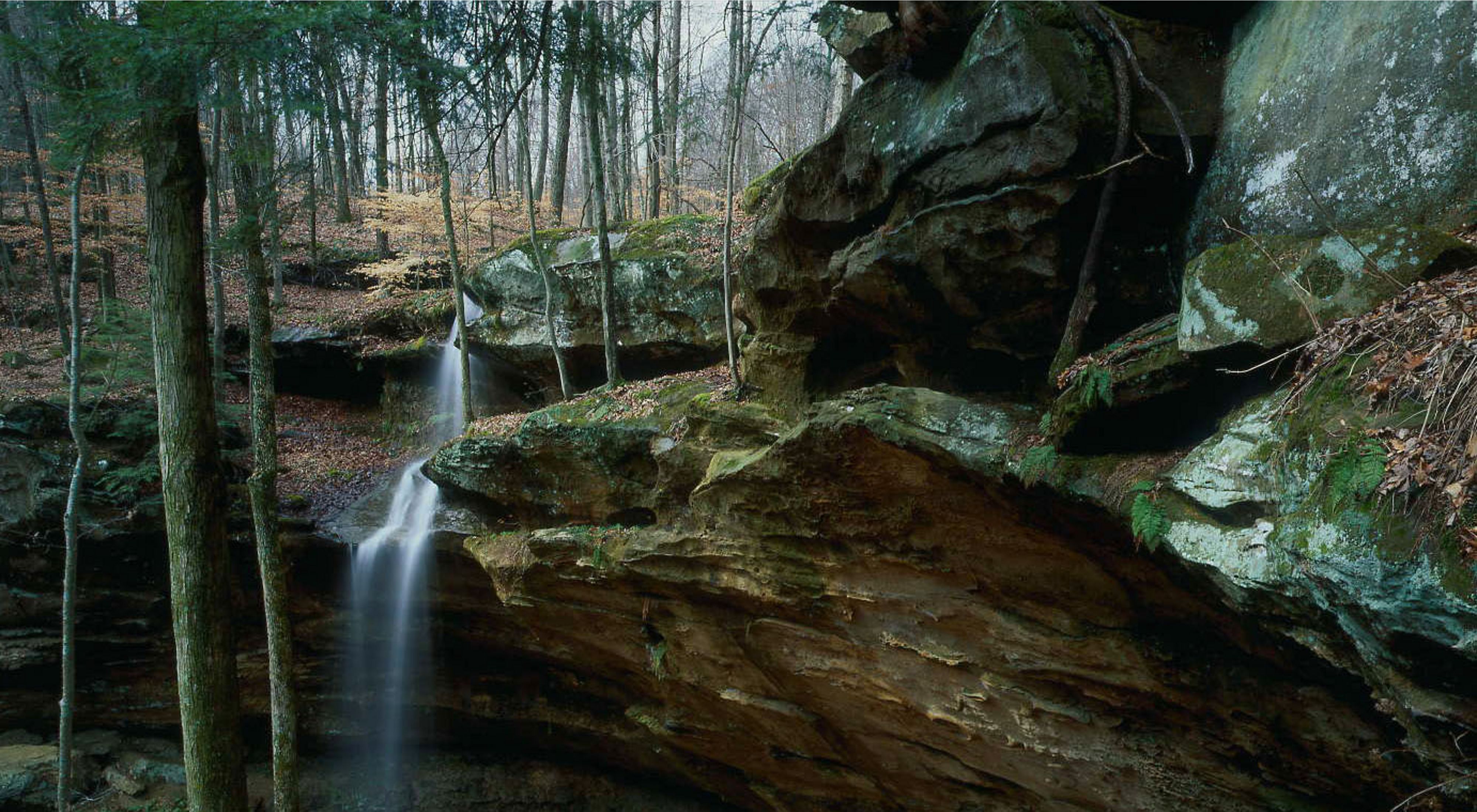 Part of Shooting Star Cliffs in Perry County, Indiana.