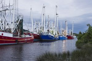 Shrimp boats in Bayou la Batre. Fishing boats are docked in a line along a narrow bayou.