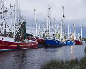 Shrimp boats in Bayou la Batre. Fishing boats are docked in a line along a narrow bayou.