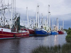 Shrimp boats in Bayou la Batre
