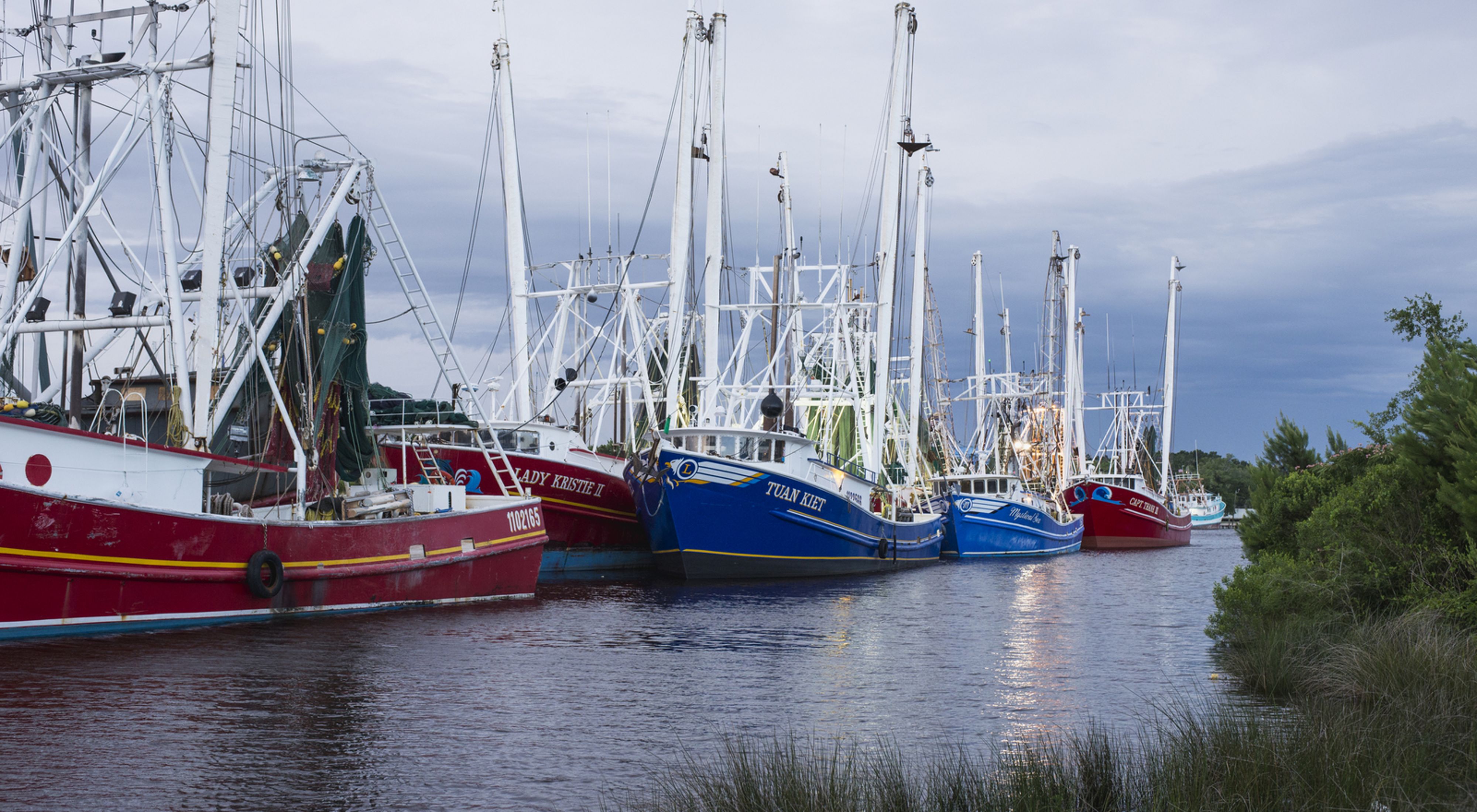Shrimp boats docked at Bayou La Batre, Alabama.