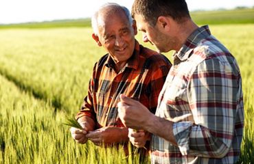 Two men standing in a field of wheat.