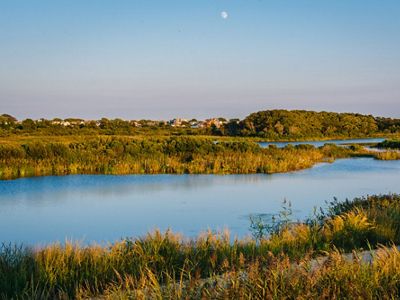 Freshwater ponds surrounded by wetland grasses.
