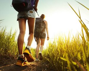 Close-up shot of hikers legs and boots walking in woods.