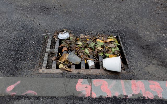 Trash and wet debris covering a catch basin.