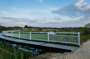 View of a boardwalk trail over a marsh.