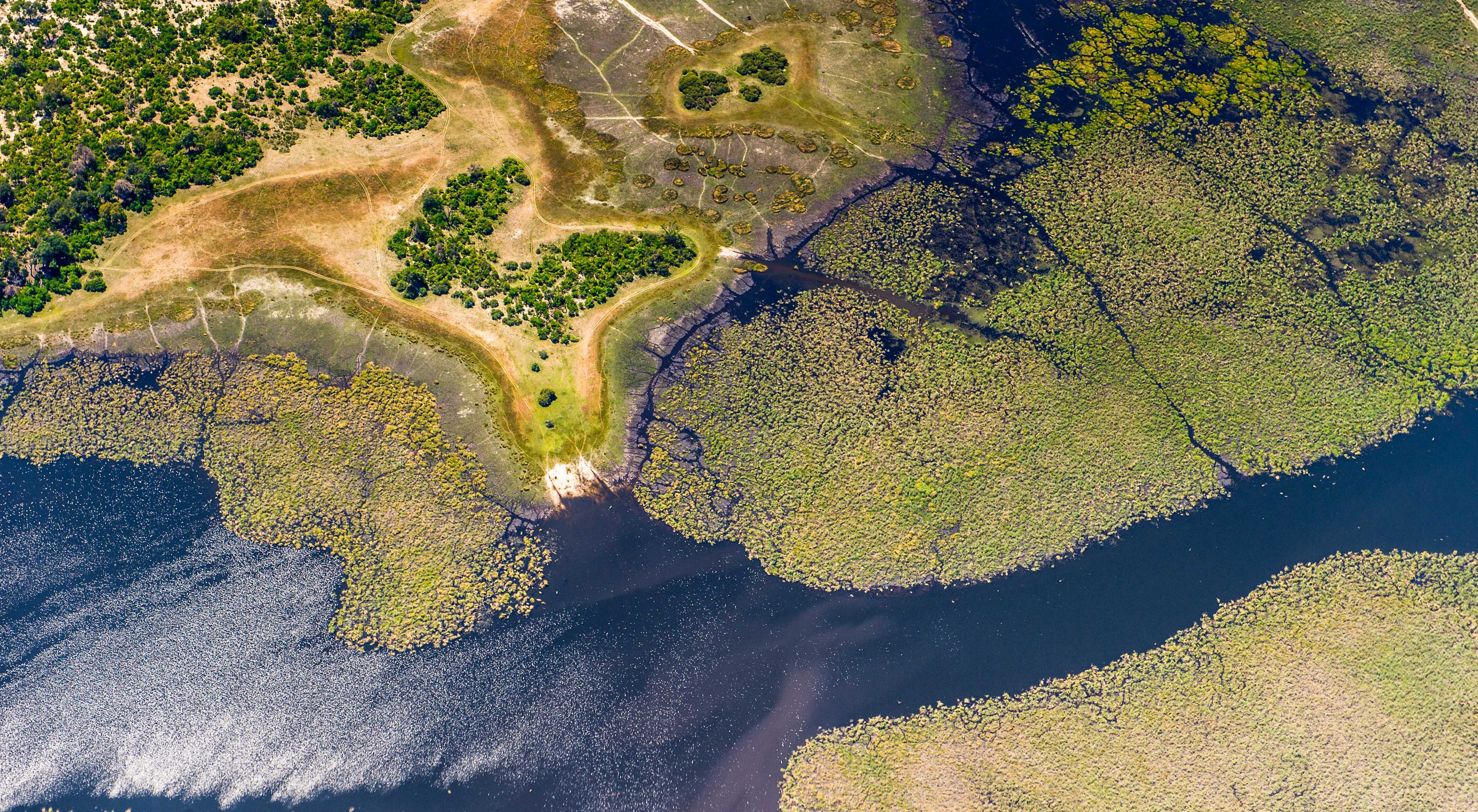 Aerial view of Okavango delta