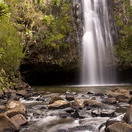 Ngare Ndare Forest Reserve