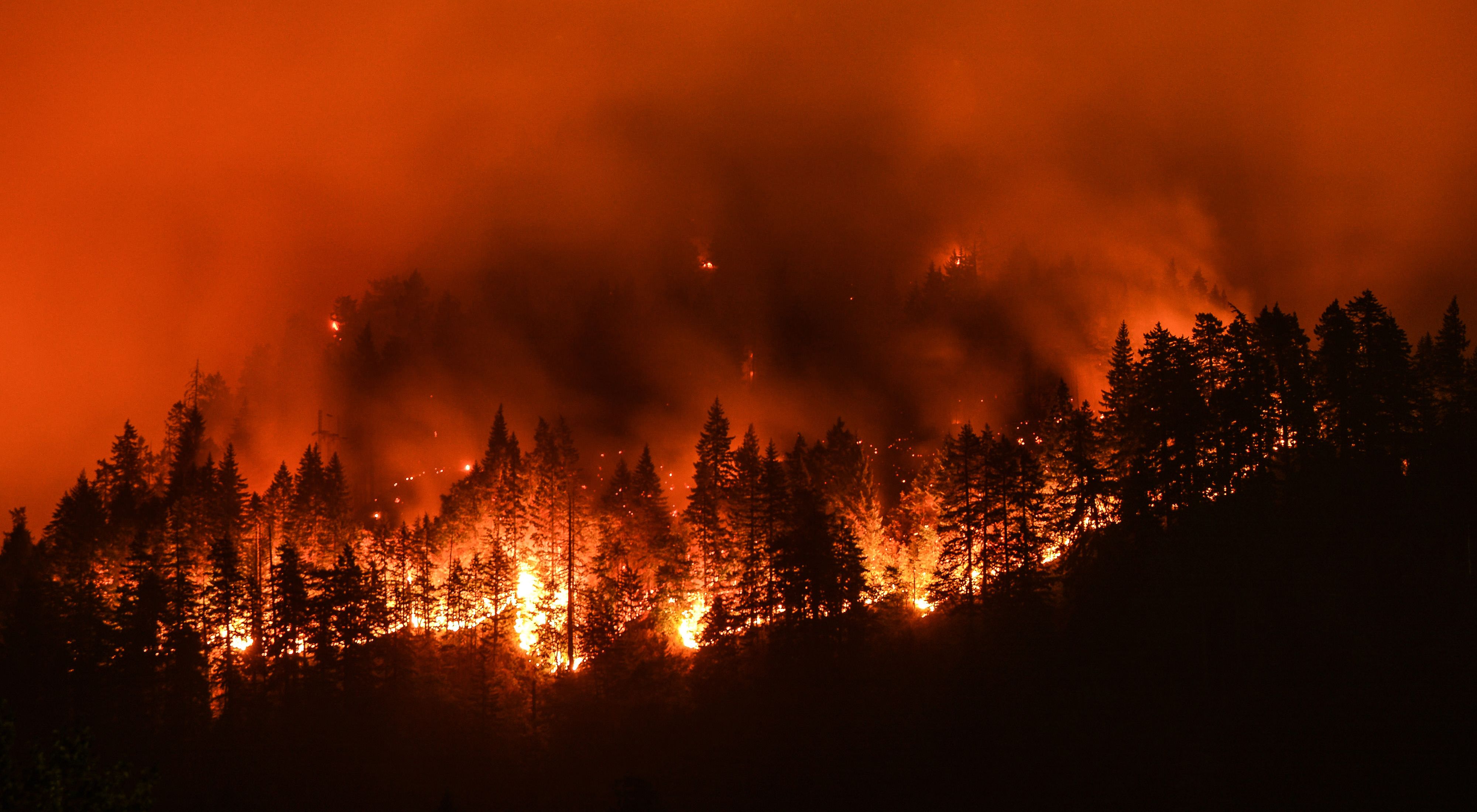 The Best Wildfire Preparedness Supplies and Strategies of 2023