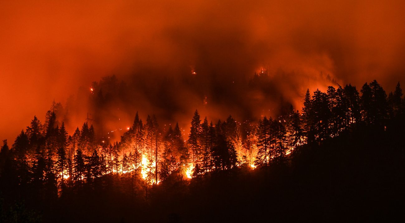 A row of trees on fire in silhouette with smoke rising into a dark red sky.