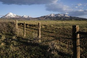 Landscape view of a grassy prairie with a post-and-wire-fence in the foreground and snow-covered mountains in the distance.