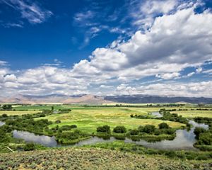 Landscape view of Silver Creek meandering through green fields with mountains in the distance.
