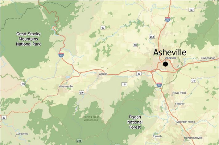 TNC's Silver Run Preserve, one of the sites for climate-informed forest restoration, is located just southwest of Asheville, North Carolina.