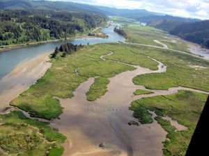 Aerial view of tidal creeks and marshlands of Cox Island.