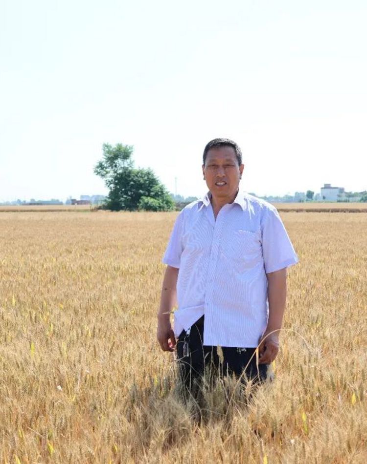 A man stands smiling in a golden wheat field