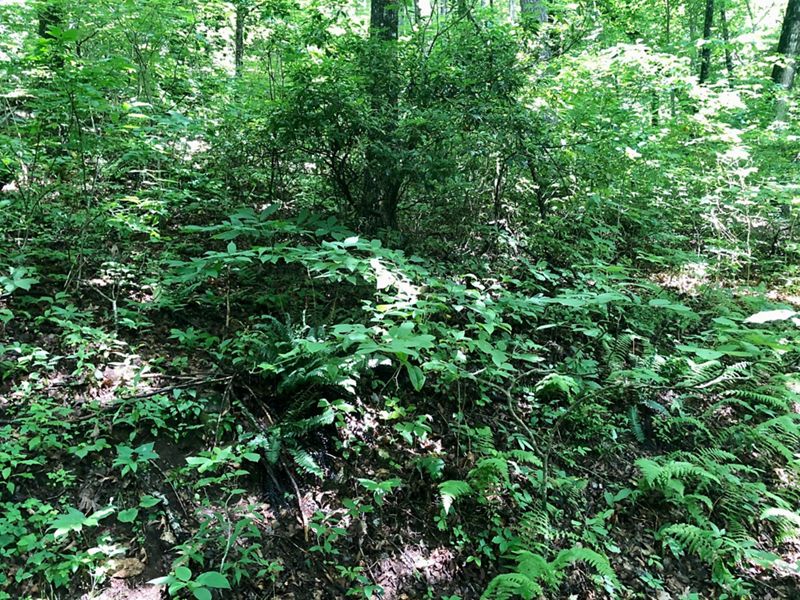 Pre-burn