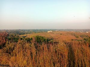 Looking across the golden hills of Sioux City Prairie at sunset.