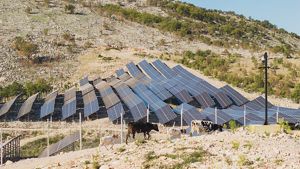 Horses walk in front of a solar farm in Montenegro.