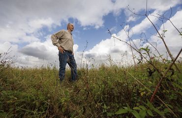 A man stands in an open field with tall brambles, under a blue sky filled with puffy white clouds.