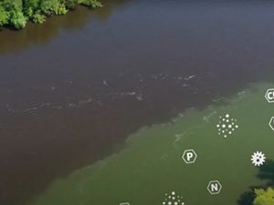 Aerial view of a river with green areas and with illustrations of microbes and chemical symbols superimposed on it. 