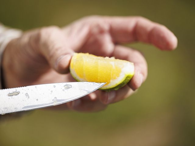 A person holds a slice of unripe orange, using a small knife to point to the pale yellow flesh.