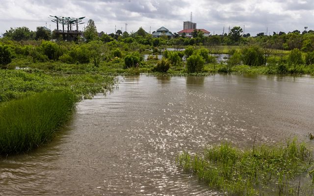 A view of sparkling water and lush vegetation in the Bucktown Marsh. In the background, the elevated platform of the Bird's Nest Learning Pavillion is visible.