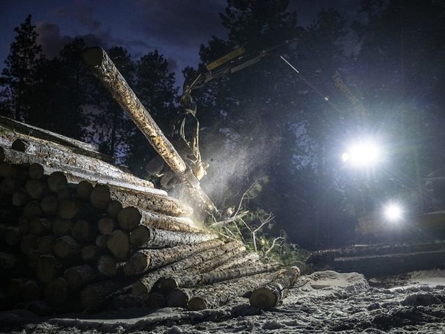 Spotlights on a piece of heavy equipment illuminate a pile of cut logs.