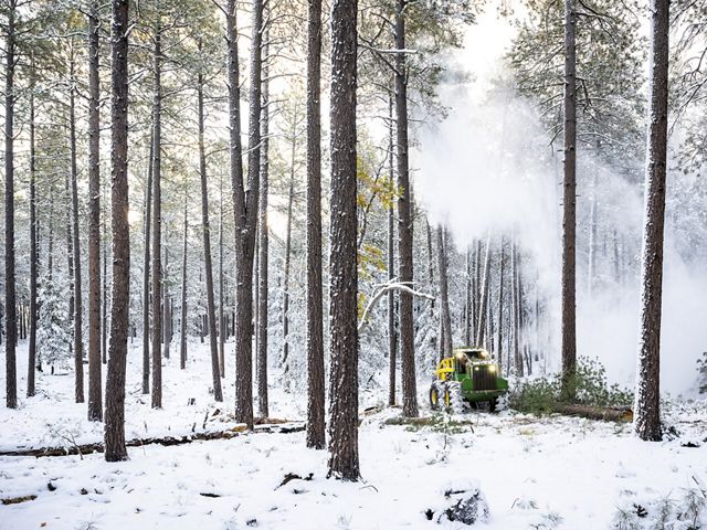 A piece of equipment moves along the snow covered ground between widely spaced evergreen trees.