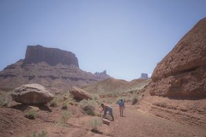 Kara Dohrenwend and Gavin Belfry hunt for seeds amid sparse vegetation and Moab's famous rock formations. The sky is cloudless, and the light is harsh.