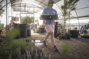 Gavin Belfry carries a tray of seedings past potted plants and gardening supplies such as buckets and barrels. He is inside of a hoop house covered with a shade cloth.