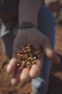 An outstreched hand with a handful of pea-sized seeds. 