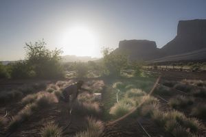 Kara Dohrenwend kneels to collect native plant seed with a backdrop of dramatic rocks and atmospheric lighting. 