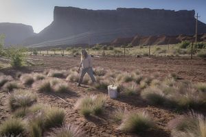 Kara Dohrenwend walks through rows of native plants in the Mayberry center, with large rock formations in the background.