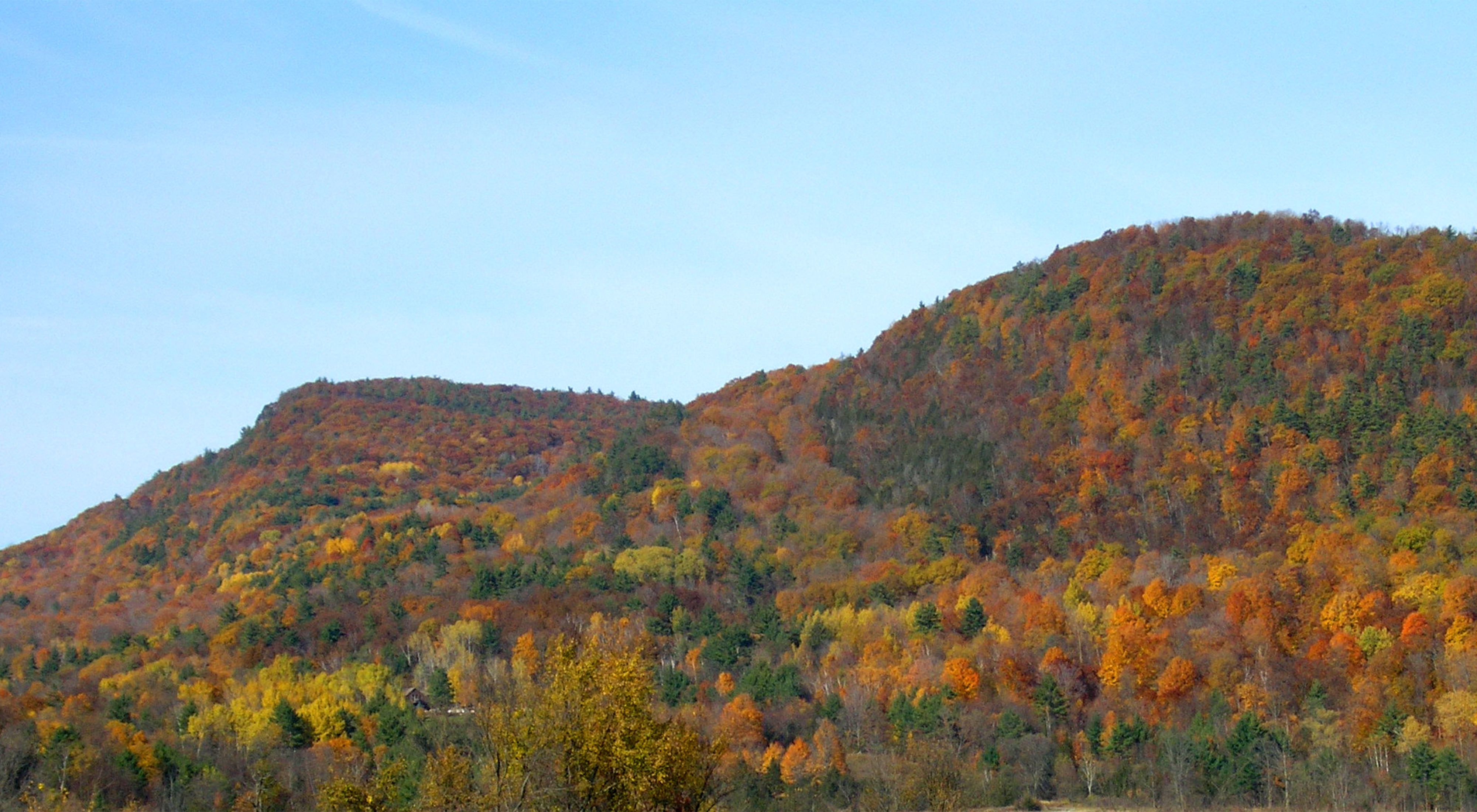 Mountain ridge with red, orange, yellow and green foliage against a cloudless sky. 