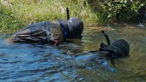 Fishing guide and Yurok tribal member, Pergish Carlson, stands atop a tree trunk and looks at the forests around the Klamath River in northern California.