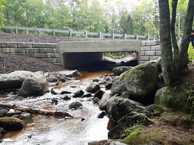 side view of bridge over a stream and surrounded by trees.
