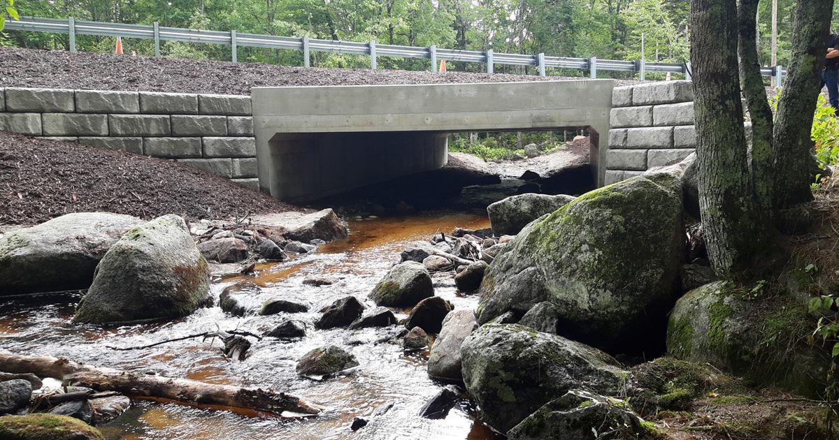 Alewives Return To Maine Rivers | The Nature Conservancy