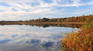 Lucia S. Nash Preserve The Nature Conservancy in Ohio