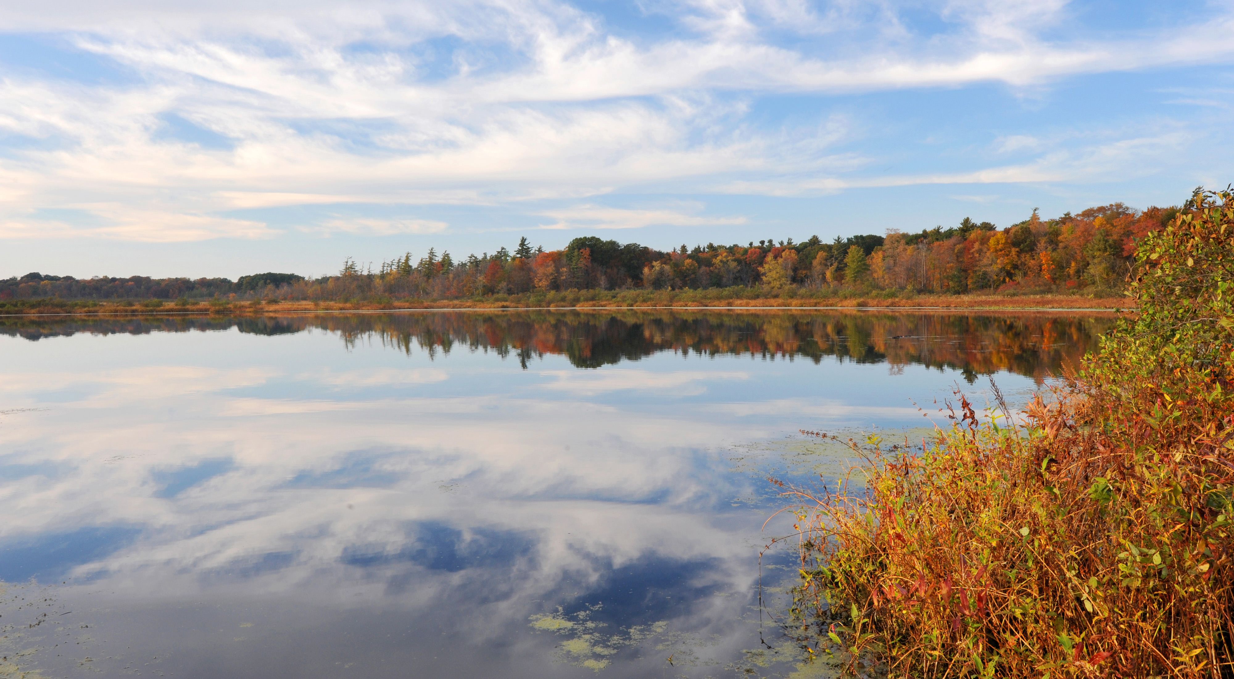 Clouds reflected in the surface of a lake surrounded by trees in fall color.