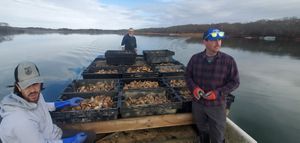 Three men on a boat filled with baskets of oysters, on the water as they bring the shellfish to a restoration site.