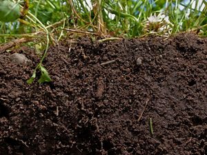 Farmers and landowners working together for soil health