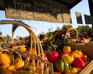 Display of fresh produce
