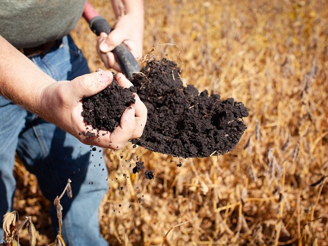 A Minnesota farmer who uses cover crops and reduced tillage shows off the condition of their soil in a drought year.