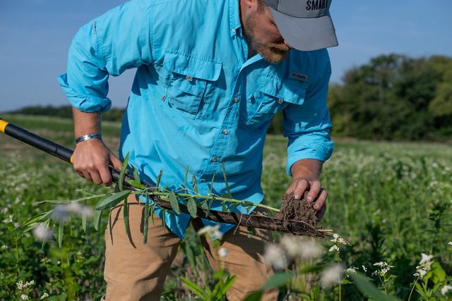 A man in a blue shirt with a shovel checks his crops in a farm field.
