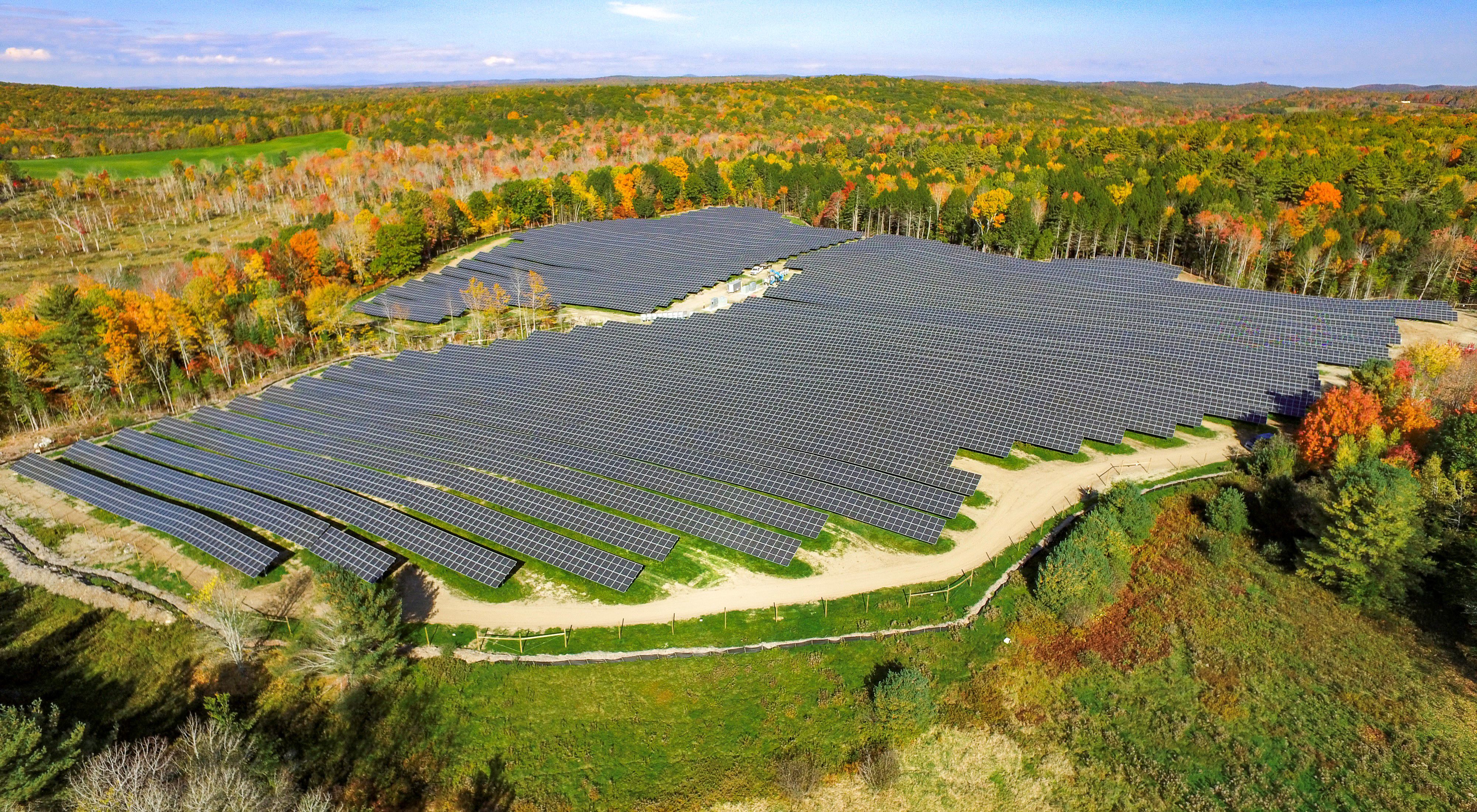 View of a solar array surrounded by forest trees.