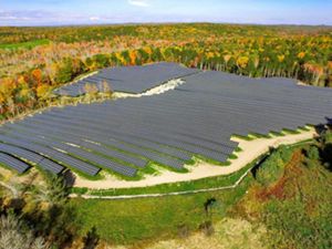 View of solar array surrounded by forest trees.